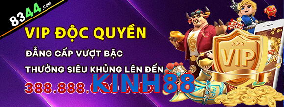 KINH88
